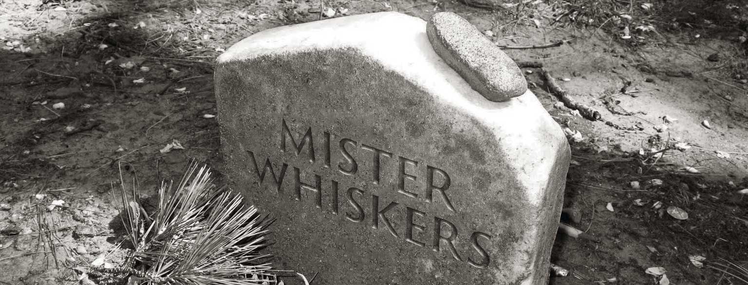 Masthead Graphic: A gravestone with the name ‘Mister Whiskers’ carved on it; lettering by Robert Slimbach and Carol Twombly.
